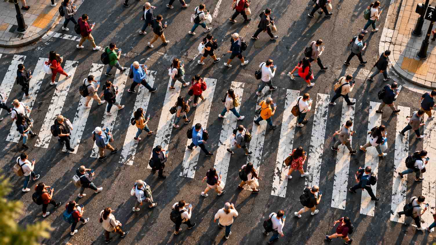 Canada Immigration: Temporary Residents Fall as Population Growth Slows to 0.5%