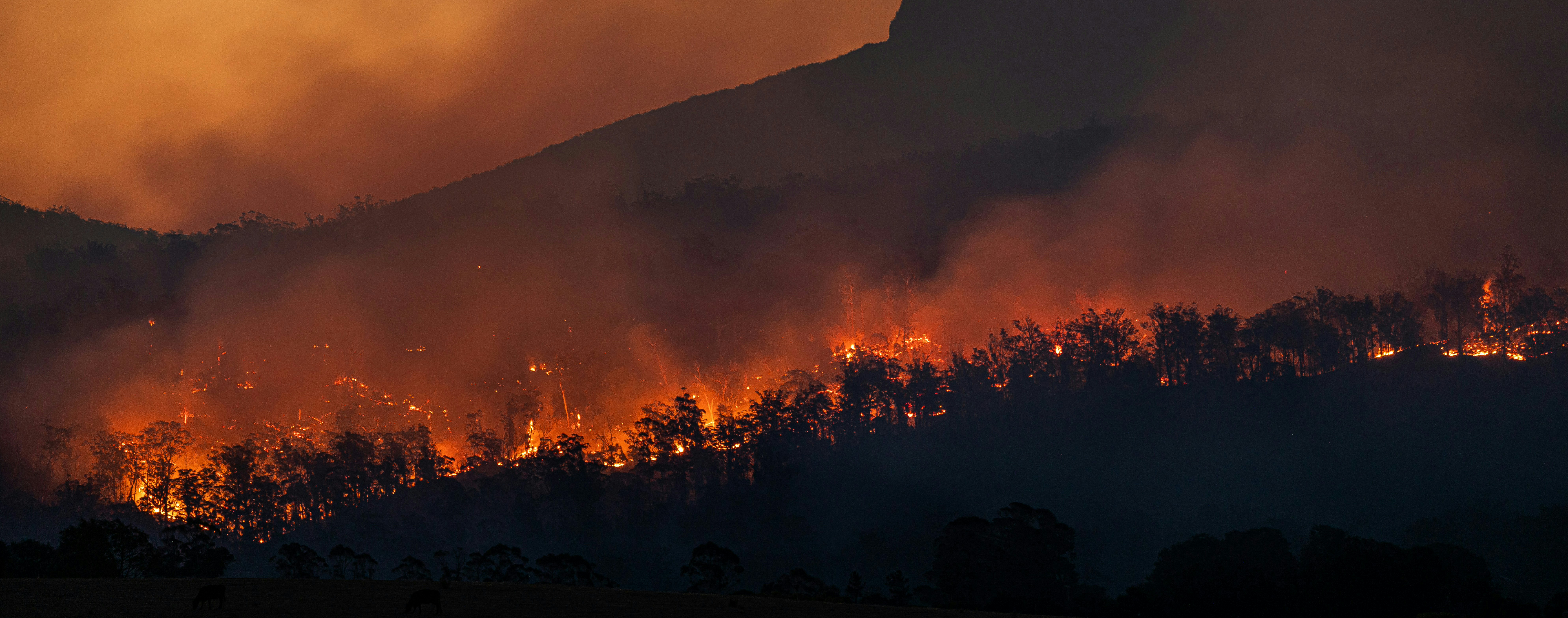 Canada's Wildfire Crisis Fuels Climate Tech Race