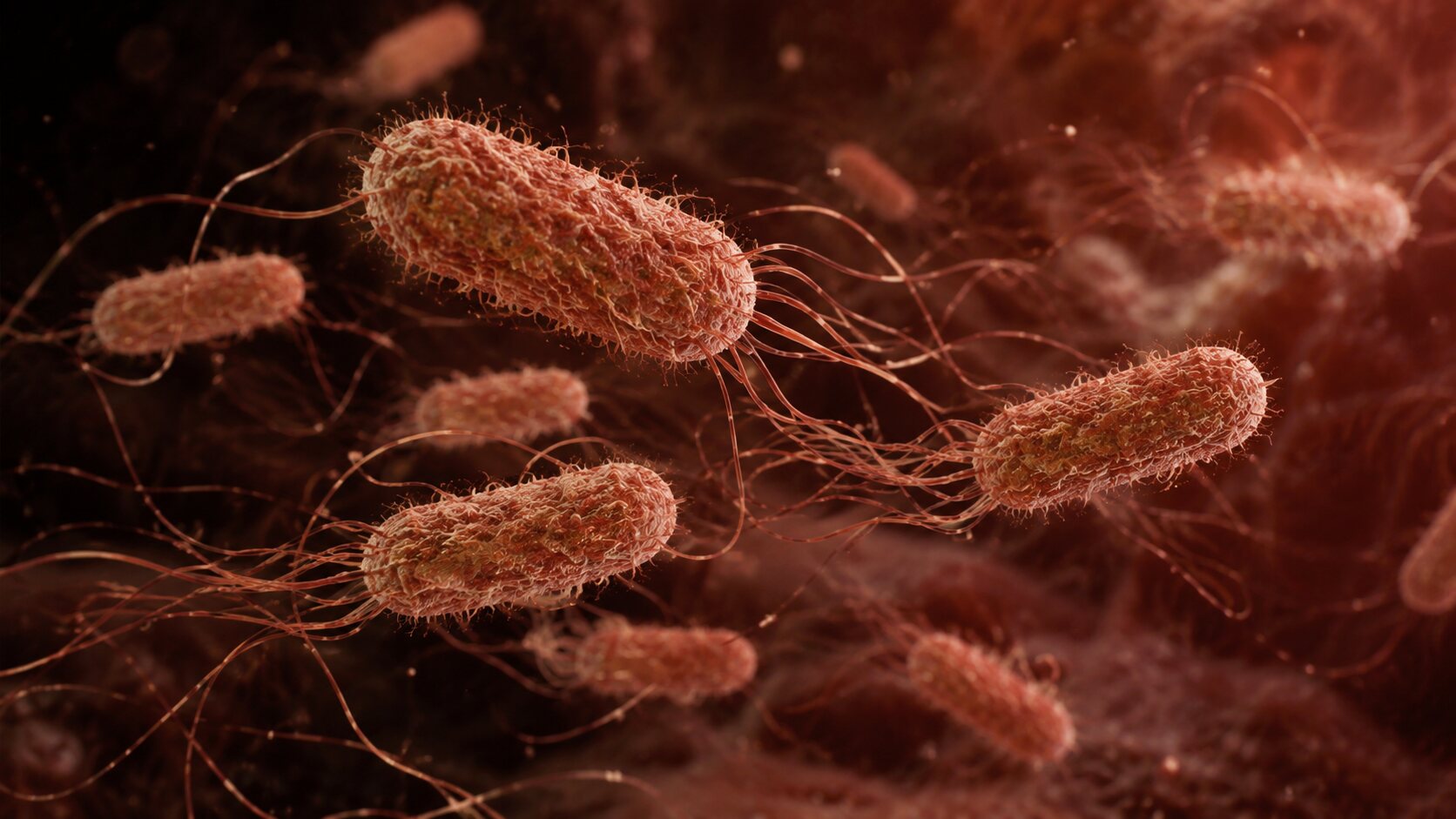 CDC says 345 sick in jalapeño-linked Salmonella outbreak